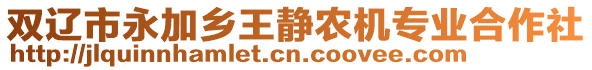 雙遼市永加鄉(xiāng)王靜農(nóng)機(jī)專業(yè)合作社
