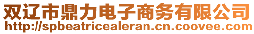 雙遼市鼎力電子商務(wù)有限公司