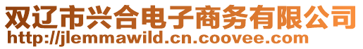 雙遼市興合電子商務(wù)有限公司