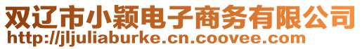 双辽市小颖电子商务有限公司