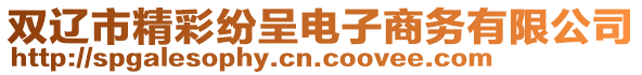雙遼市精彩紛呈電子商務有限公司