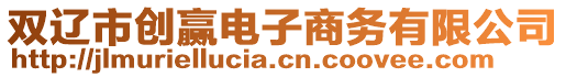 雙遼市創贏電子商務有限公司
