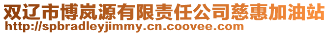 双辽市博岚源有限责任公司慈惠加油站