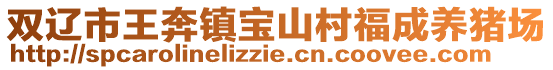 雙遼市王奔鎮(zhèn)寶山村福成養(yǎng)豬場(chǎng)