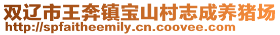 雙遼市王奔鎮(zhèn)寶山村志成養(yǎng)豬場