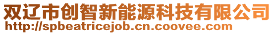 雙遼市創(chuàng)智新能源科技有限公司