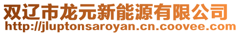 雙遼市龍元新能源有限公司