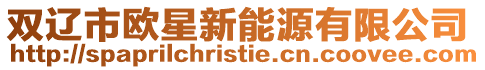 雙遼市歐星新能源有限公司