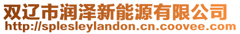 雙遼市潤澤新能源有限公司
