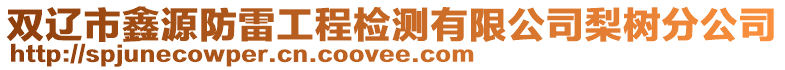 雙遼市鑫源防雷工程檢測有限公司梨樹分公司