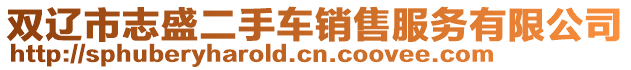 雙遼市志盛二手車銷售服務有限公司