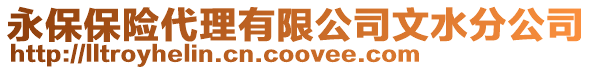 永保保險代理有限公司文水分公司