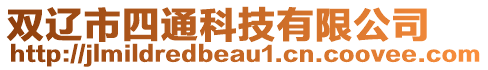 雙遼市四通科技有限公司