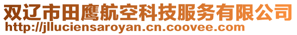 雙遼市田鷹航空科技服務(wù)有限公司