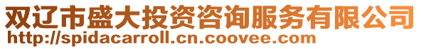 雙遼市盛大投資咨詢服務有限公司