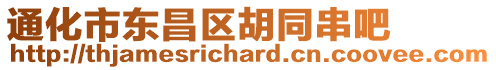 通化市東昌區(qū)胡同串吧