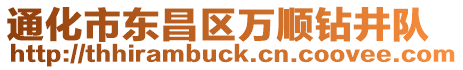 通化市東昌區(qū)萬順鉆井隊