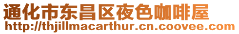 通化市東昌區夜色咖啡屋