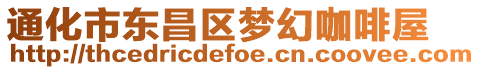 通化市東昌區(qū)夢幻咖啡屋