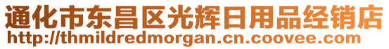 通化市東昌區(qū)光輝日用品經(jīng)銷店