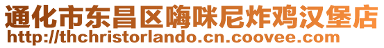 通化市東昌區(qū)嗨咪尼炸雞漢堡店