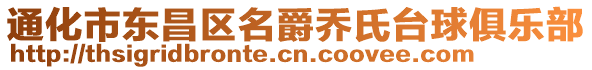 通化市東昌區(qū)名爵喬氏臺球俱樂部