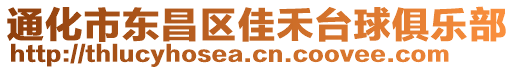 通化市東昌區(qū)佳禾臺球俱樂部