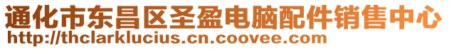 通化市東昌區(qū)圣盈電腦配件銷售中心