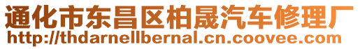 通化市東昌區(qū)柏晟汽車修理廠