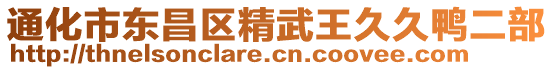 通化市東昌區(qū)精武王久久鴨二部