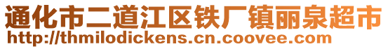 通化市二道江区铁厂镇丽泉超市