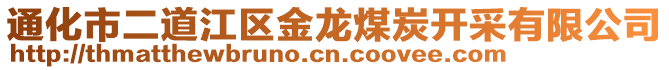 通化市二道江區(qū)金龍煤炭開采有限公司