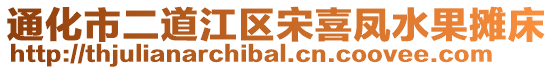 通化市二道江区宋喜凤水果摊床