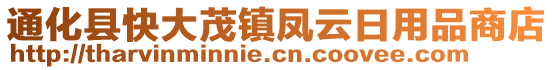 通化县快大茂镇凤云日用品商店