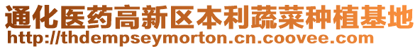 通化醫(yī)藥高新區(qū)本利蔬菜種植基地