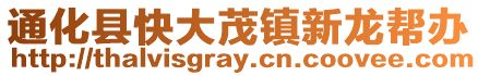 通化縣快大茂鎮新龍幫辦