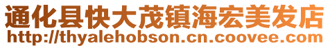 通化縣快大茂鎮海宏美發店