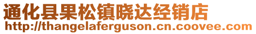 通化縣果松鎮(zhèn)曉達(dá)經(jīng)銷店