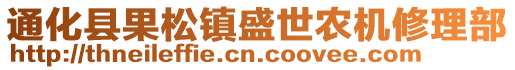 通化縣果松鎮(zhèn)盛世農(nóng)機(jī)修理部