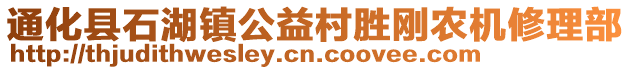 通化縣石湖鎮(zhèn)公益村勝剛農(nóng)機修理部