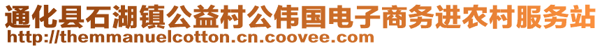 通化縣石湖鎮(zhèn)公益村公偉國電子商務(wù)進(jìn)農(nóng)村服務(wù)站