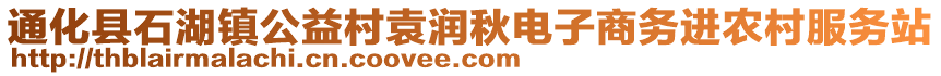 通化縣石湖鎮(zhèn)公益村袁潤(rùn)秋電子商務(wù)進(jìn)農(nóng)村服務(wù)站