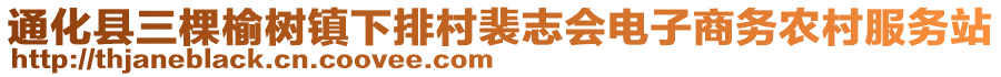 通化縣三棵榆樹鎮(zhèn)下排村裴志會(huì)電子商務(wù)農(nóng)村服務(wù)站