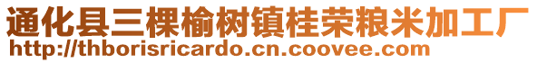 通化縣三棵榆樹(shù)鎮(zhèn)桂榮糧米加工廠(chǎng)