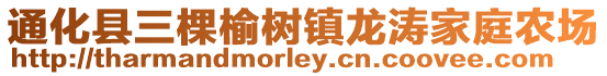 通化縣三棵榆樹鎮龍濤家庭農場