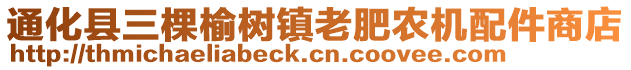 通化縣三棵榆樹鎮(zhèn)老肥農(nóng)機(jī)配件商店