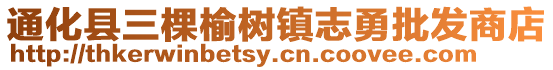 通化縣三棵榆樹鎮志勇批發商店