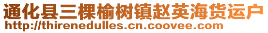 通化縣三棵榆樹鎮趙英海貨運戶