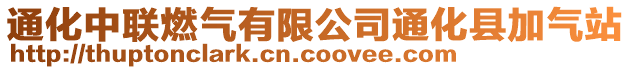 通化中聯燃氣有限公司通化縣加氣站