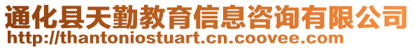 通化縣天勤教育信息咨詢有限公司